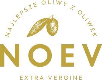 NOEV LOGO