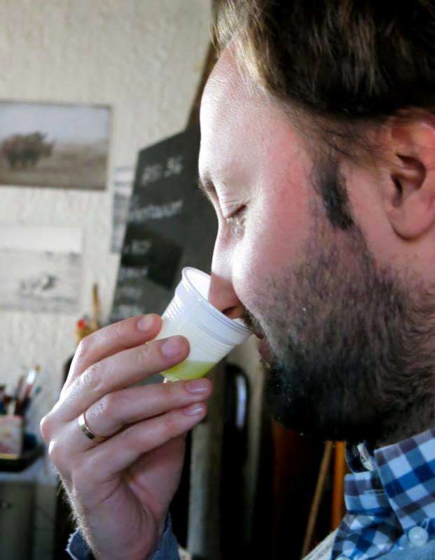 rozpoznajemy i nazywamy defekty oliwy z oliwek