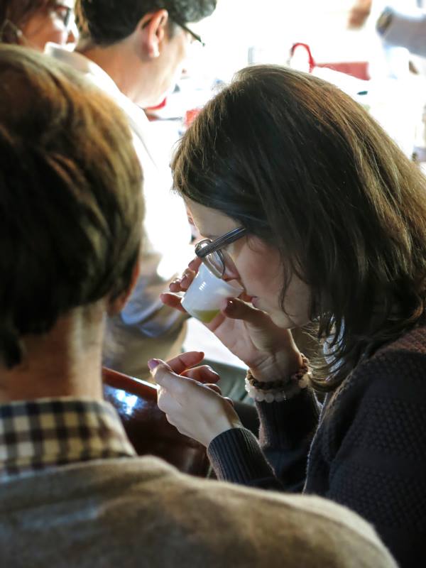 rozpoznajemy i nazywamy odmiany oliwek z jakich jest wyciśnięta oliwa