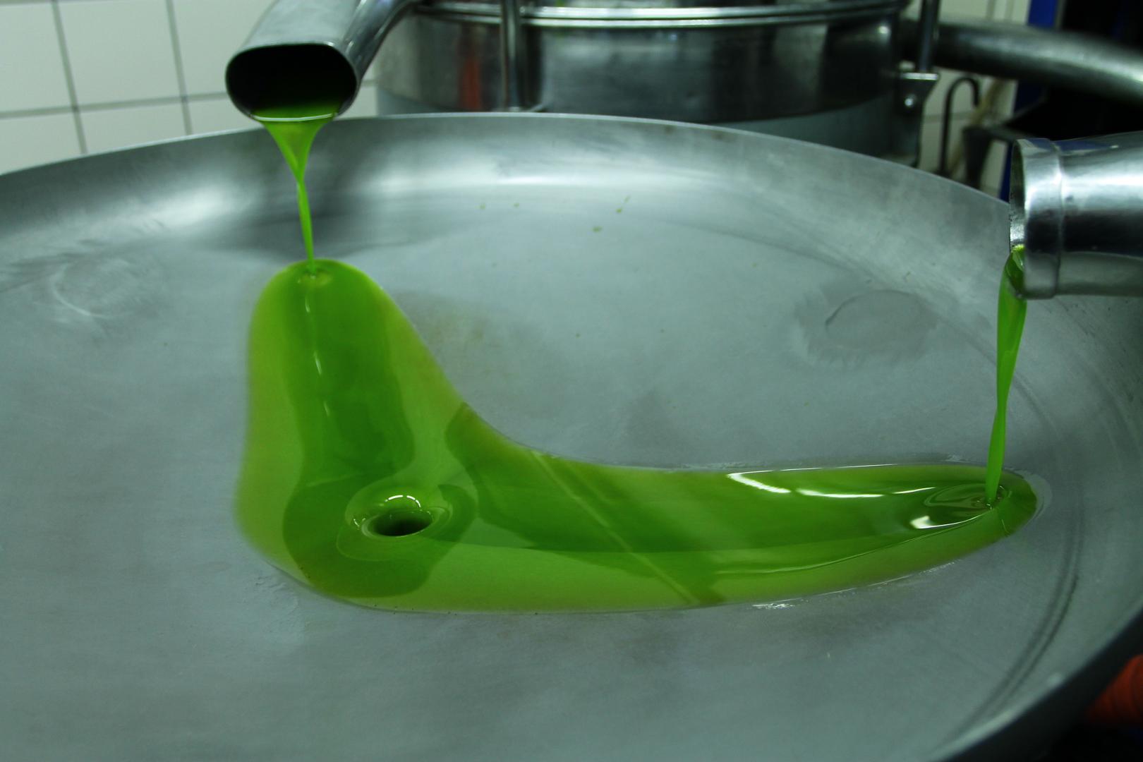 piękny kolor oliwy chwilę po wyciśnięciu oliwek